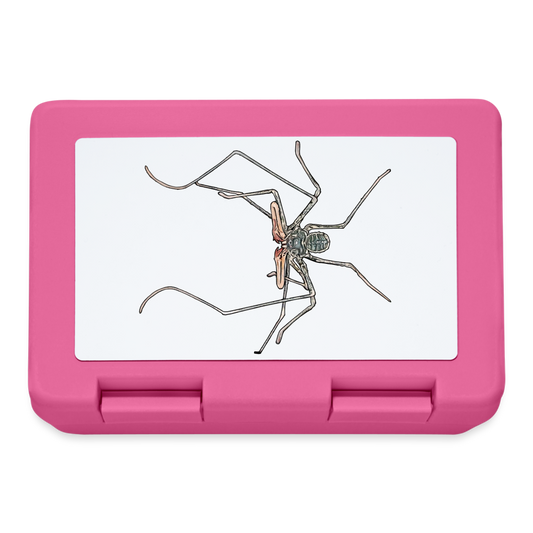 Lunchbox Euphrynichus bacillifer - Pink