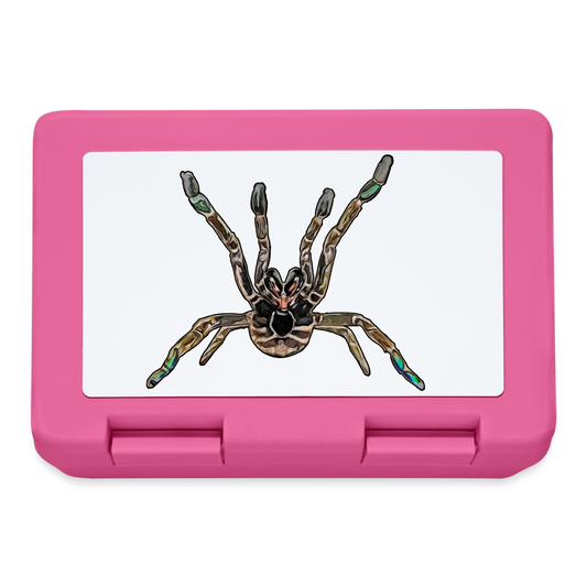 Lunchbox Pterniochilus murinus tcf - Pink