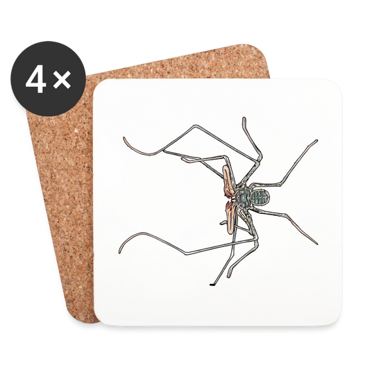 Untersetzer 4er-Set Euphrynichus bacillifer - weiß