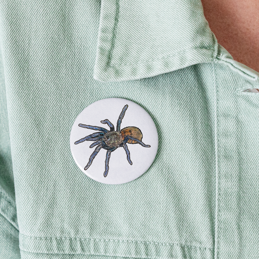 Buttons groß 56 mm (5er Pack) Chromatopelma cyaneopubescens - weiß