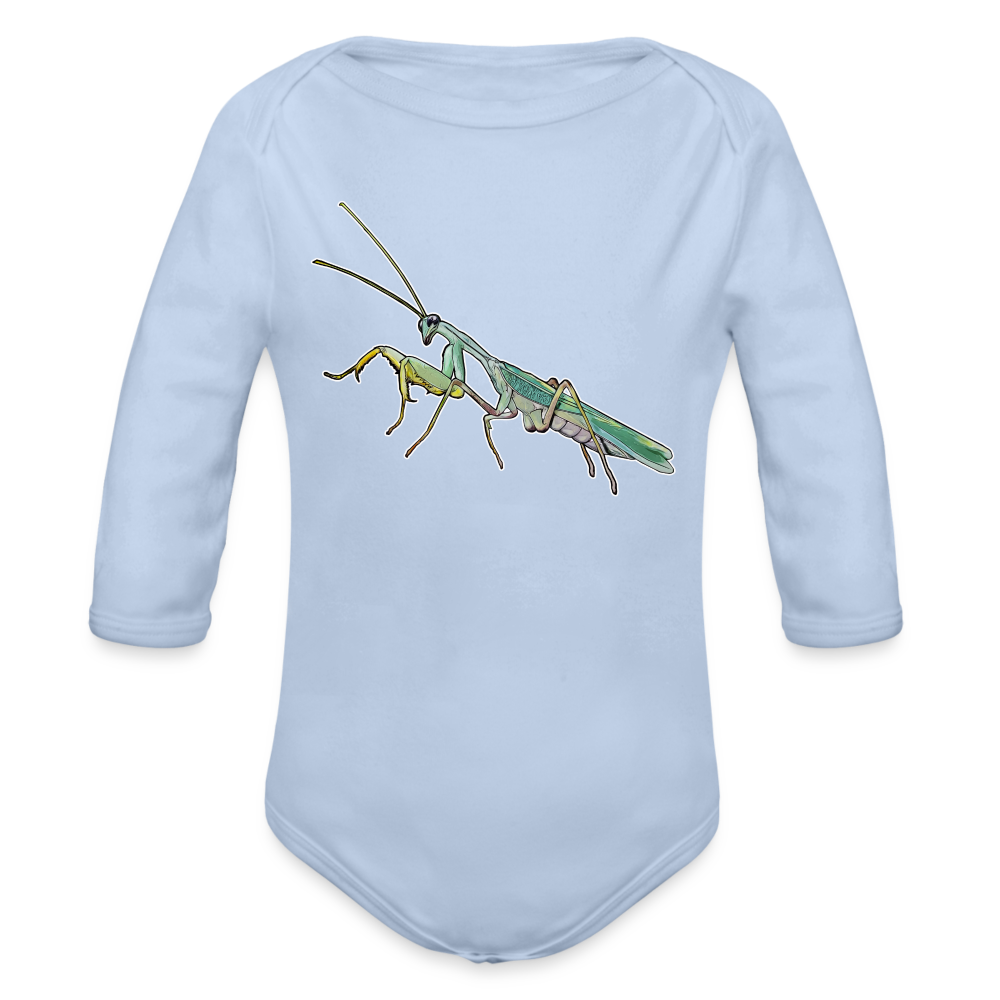 Baby Body lang Sphodromantis lineola male - Sky