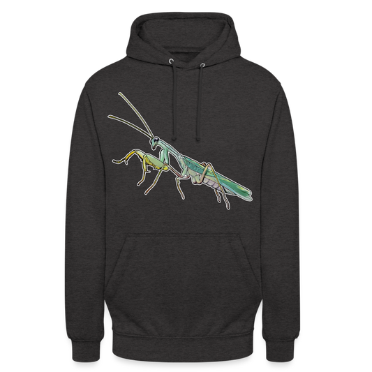 Unisex Hoodie Sphodromantis lineola male - Anthrazit