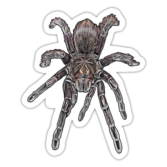 Sticker Pamphobeteus sp Machala juvenile - Mattweiß