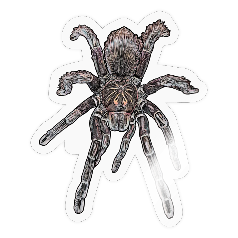 Sticker Pamphobeteus sp Machala juvenile - Transparent glänzend