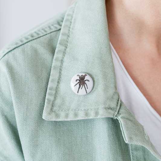 Buttons klein 25 mm (5er Pack) Pamphobeteus sp Machala juvenile - weiß