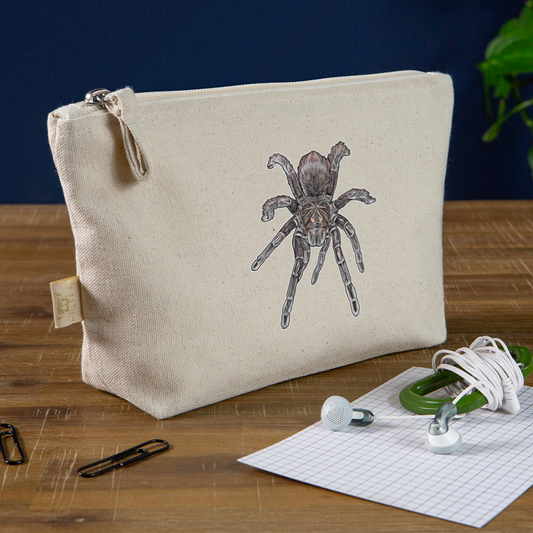 Täschchen Pamphobeteus sp Machala juvenile - Natur