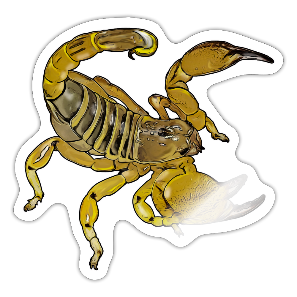 Sticker Scorpio maurus palmatus - Weiß glänzend