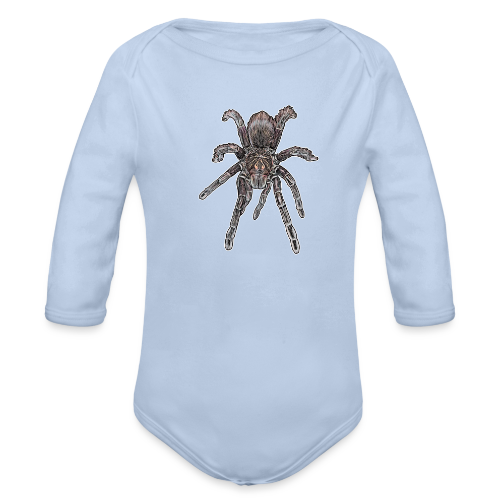 Baby Body lang Pamphobeteus sp Machala juvenile - Sky