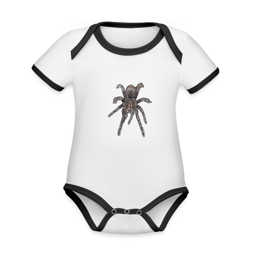 Baby Kontrastbody kurz Pamphobeteus sp Machala juvenile - Weiß/Schwarz