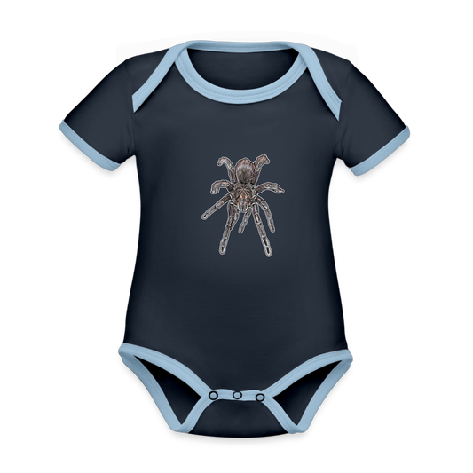 Baby Kontrastbody kurz Pamphobeteus sp Machala juvenile - Navy/Himmelblau