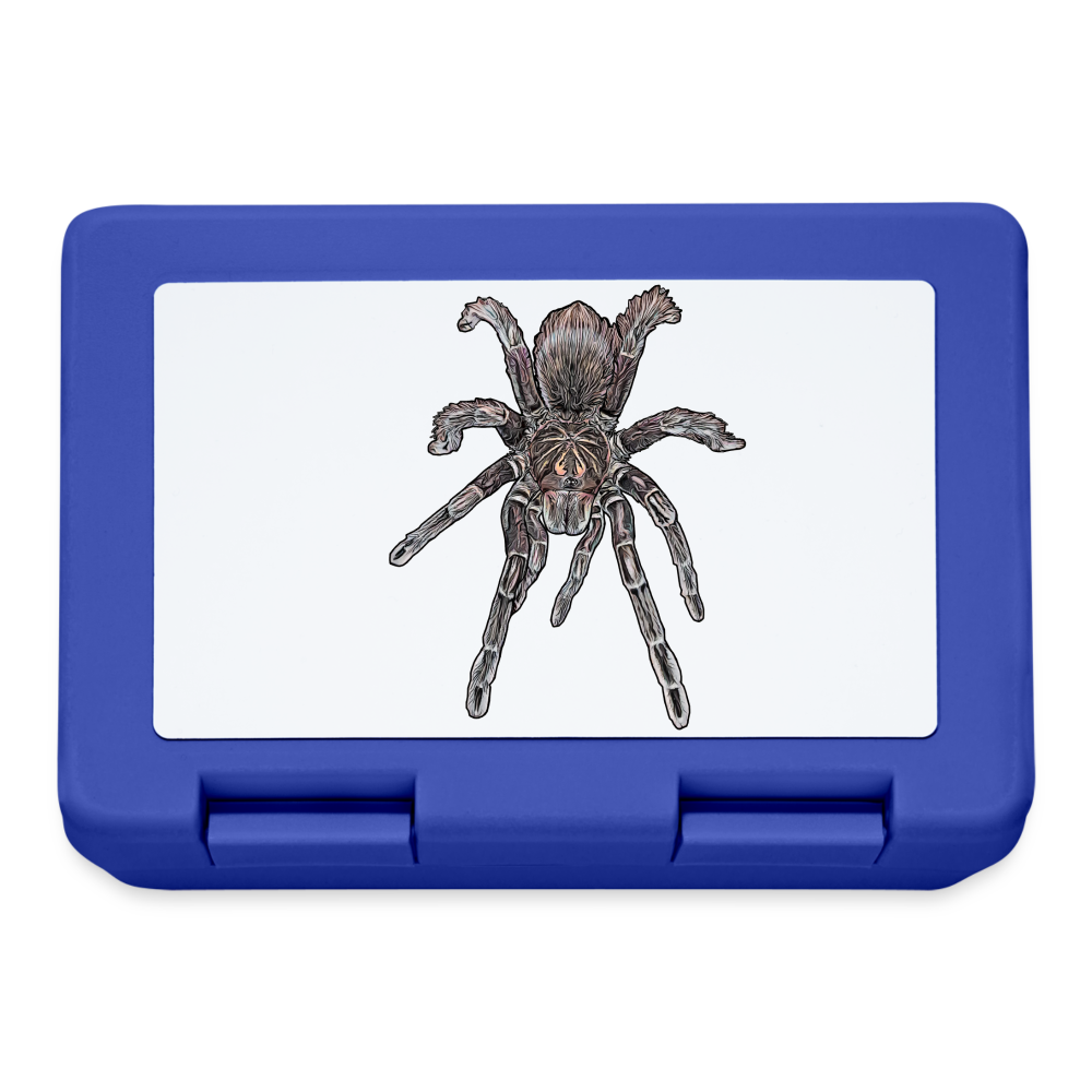 Lunchbox Pamphobeteus sp Machala juvenile - Royalblau