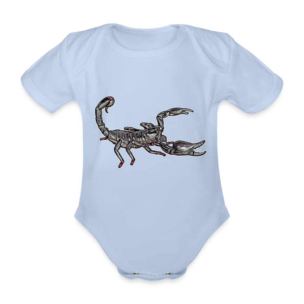 Baby Body kurz Heterometrus silenus - Sky