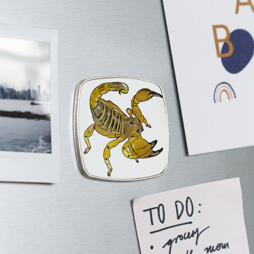 Kühlschrankmagnet eckig Scorpio maurus palmatus - weiß