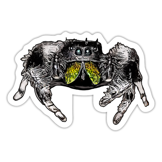 Sticker Phidippus regius Rastafari male - Mattweiß