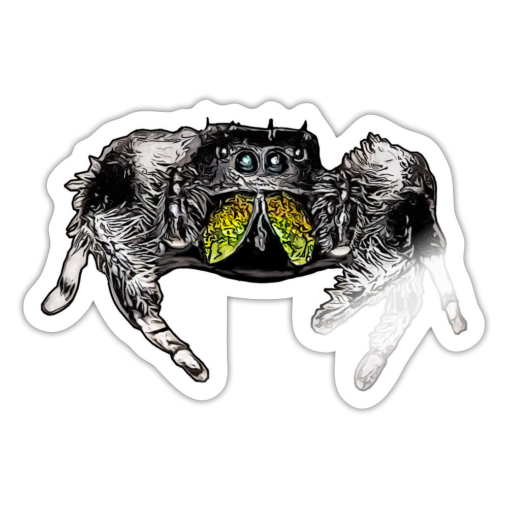 Sticker Phidippus regius Rastafari male - Weiß glänzend