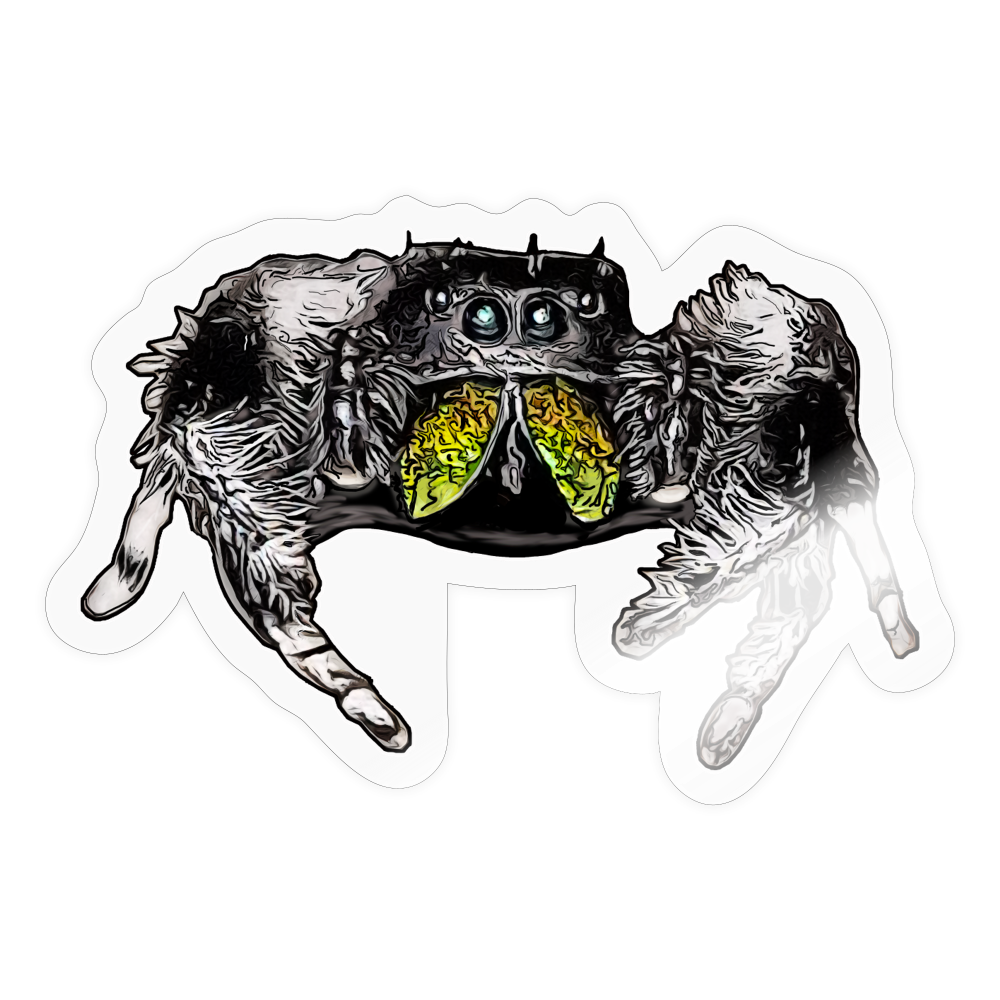 Sticker Phidippus regius Rastafari male - Transparent glänzend