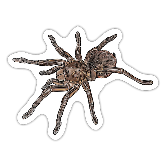Sticker Theraphosa stirmi juvenile - Mattweiß