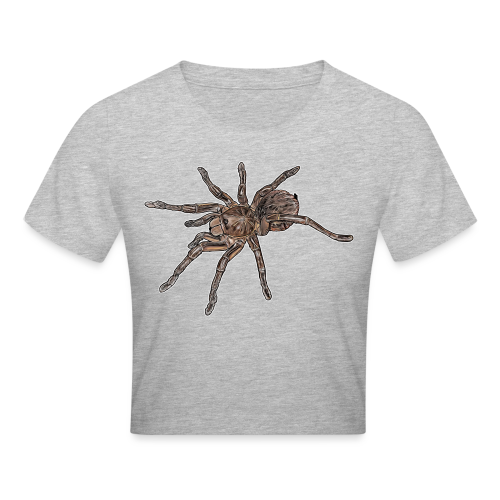 Crop T-Shirt Theraphosa stirmi juvenile - Grau meliert