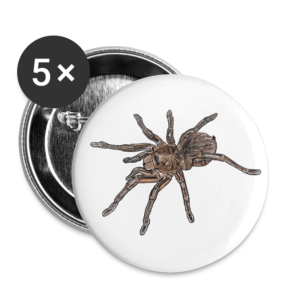 Buttons mittel 32 mm (5er Pack) Theraphosa stirmi juvenile - weiß