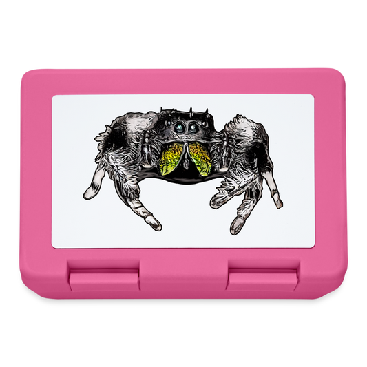 Lunchbox Phidippus regius Rastafari male - Pink