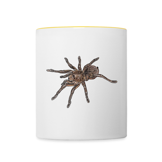 Tasse farbig Theraphosa stirmi juvenile - Weiß/Gelb