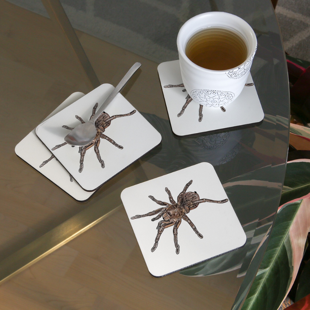 Untersetzer 4er Set Theraphosa stirmi juvenile - weiß