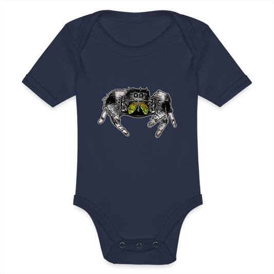 Baby Body kurz Phidippus regius Rastafari male - Dunkelnavy