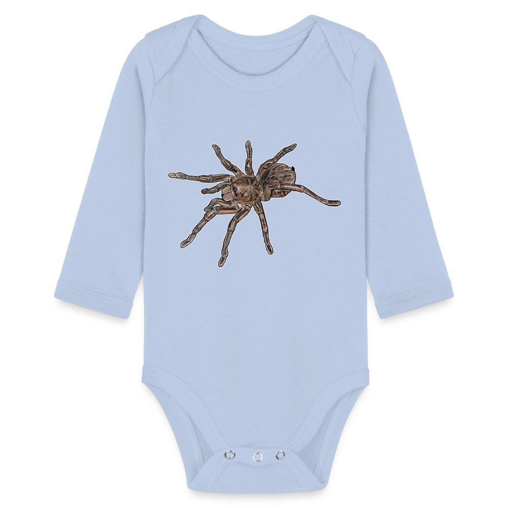 Baby Body lang Theraphosa stirmi juvenile - Sky
