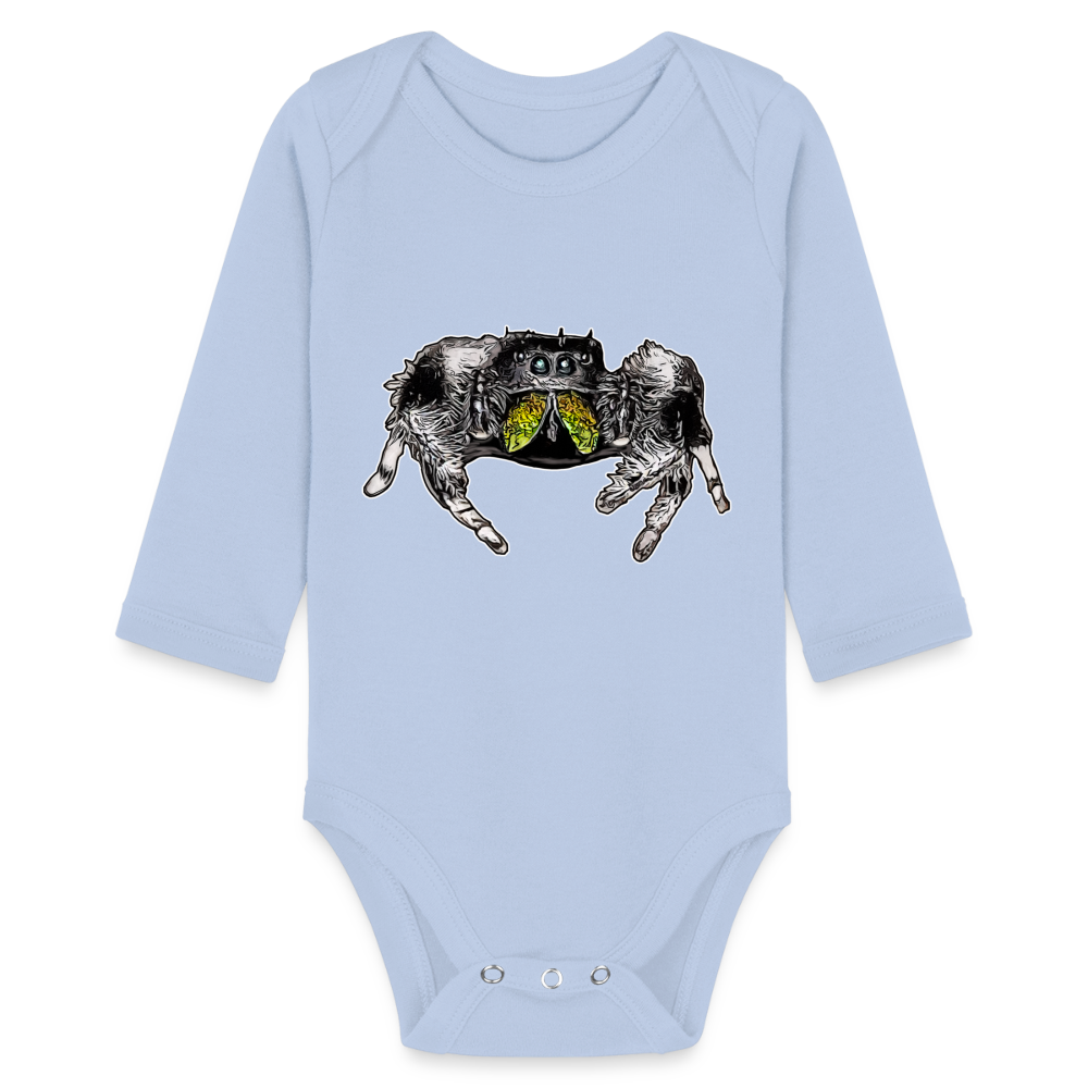 Baby Body lang Phidippus regius Rastafari male - Sky