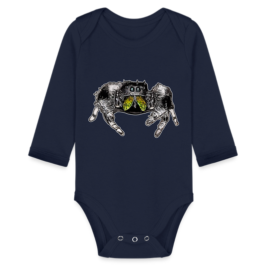Baby Body lang Phidippus regius Rastafari male - Dunkelnavy