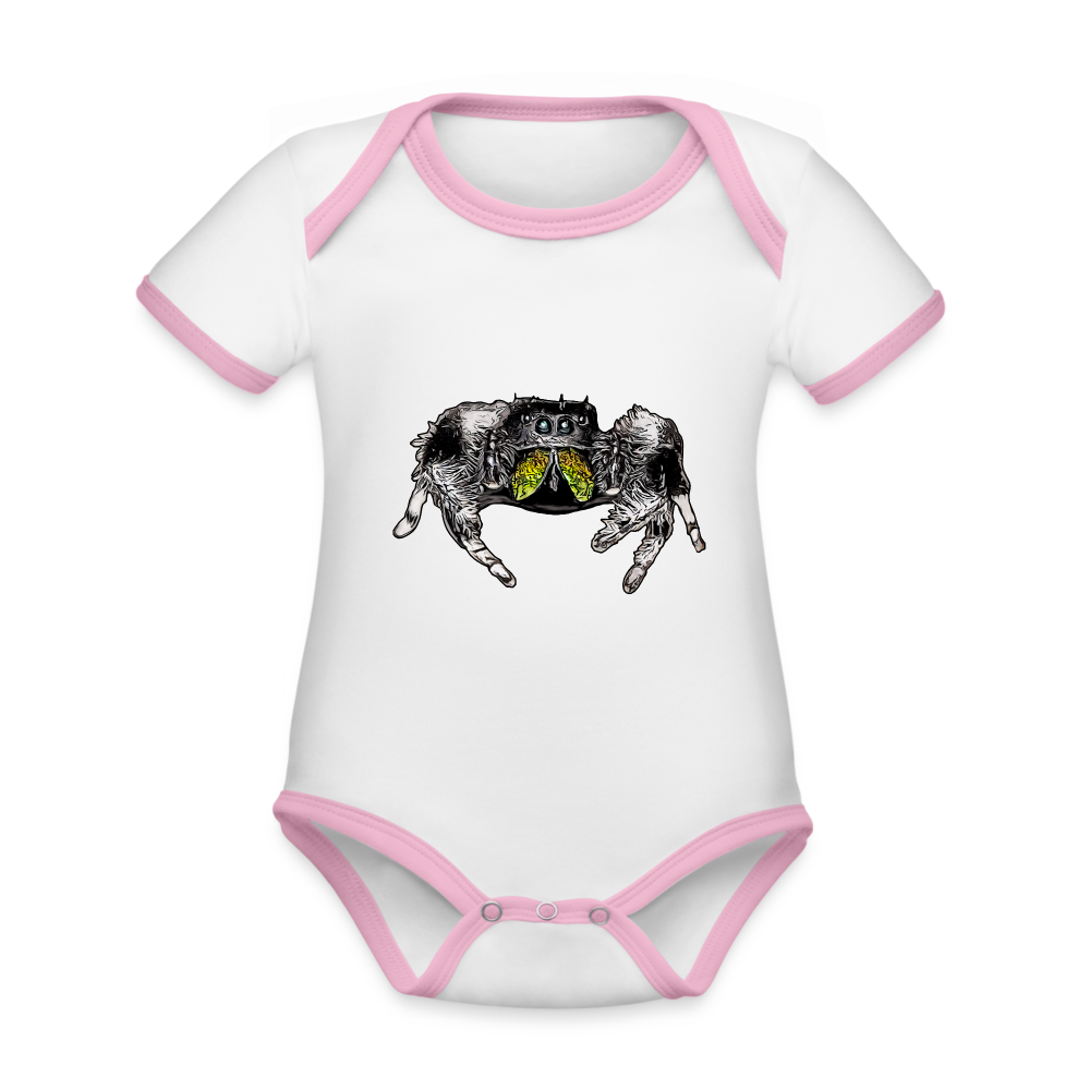 Baby Kontrastbody kurz Phidippus regius Rastafari male - Weiß/Rose