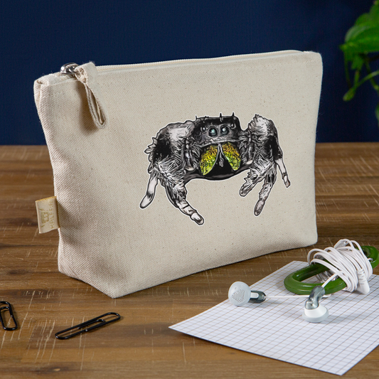 Täschchen Phidippus regius Rastafari male - Natur