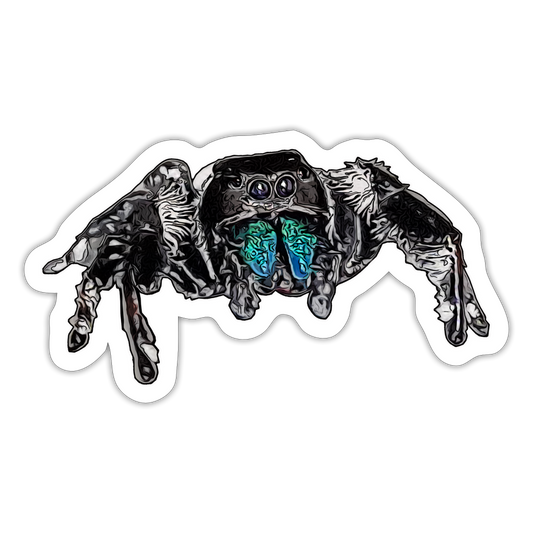 Sticker Phidippus regius Everglades male - Mattweiß
