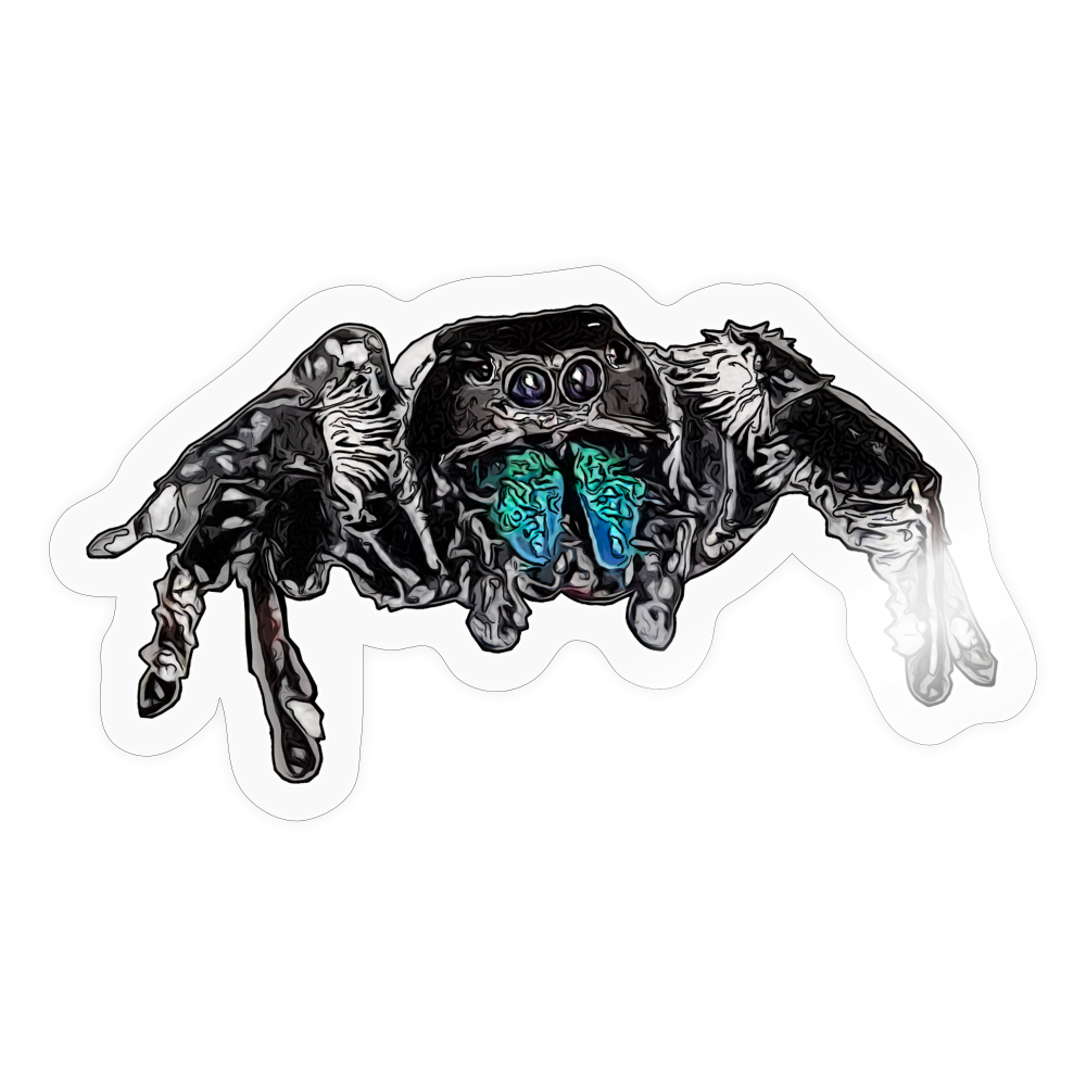 Sticker Phidippus regius Everglades male - Transparent glänzend