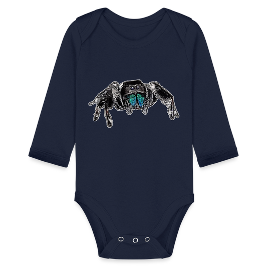 Baby Body lang Phidippus regius Everglades male - Dunkelnavy