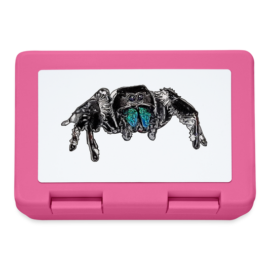 Lunchbox Phidippus regius Everglades male - Pink