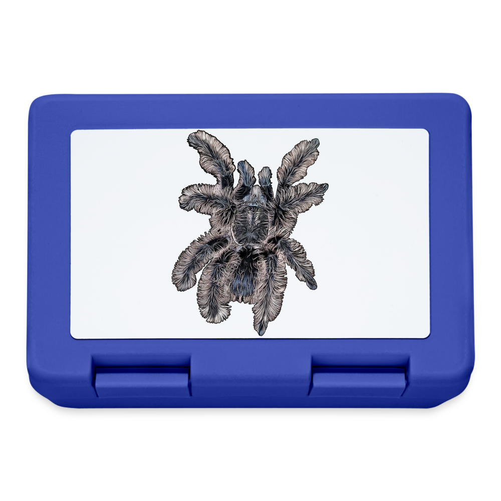 Lunchbox Tliltocatl albopilosus - Royalblau