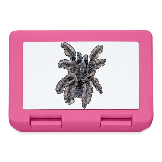 Lunchbox Tliltocatl albopilosus - Pink
