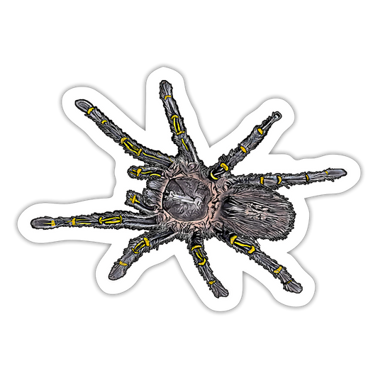 Sticker Grammostola pulchripes - Mattweiß