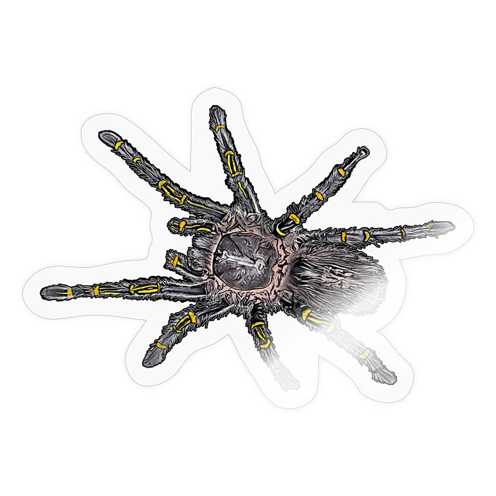Sticker Grammostola pulchripes - Transparent glänzend