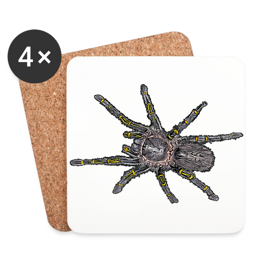 Untersetzer 4er Set Grammostola pulchripes - weiß