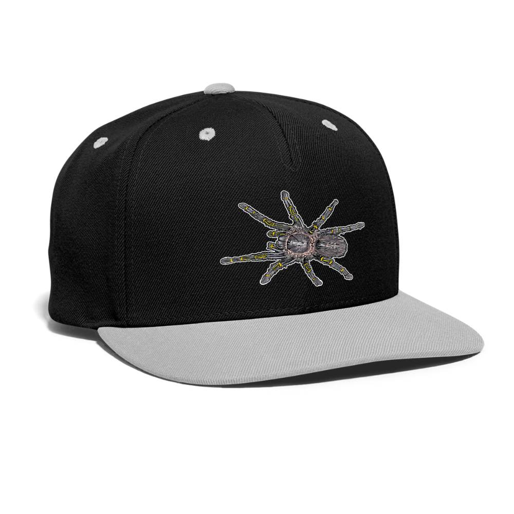 Cappy Kontrast Snapback Grammostola pulchripes - Schwarz/Grau