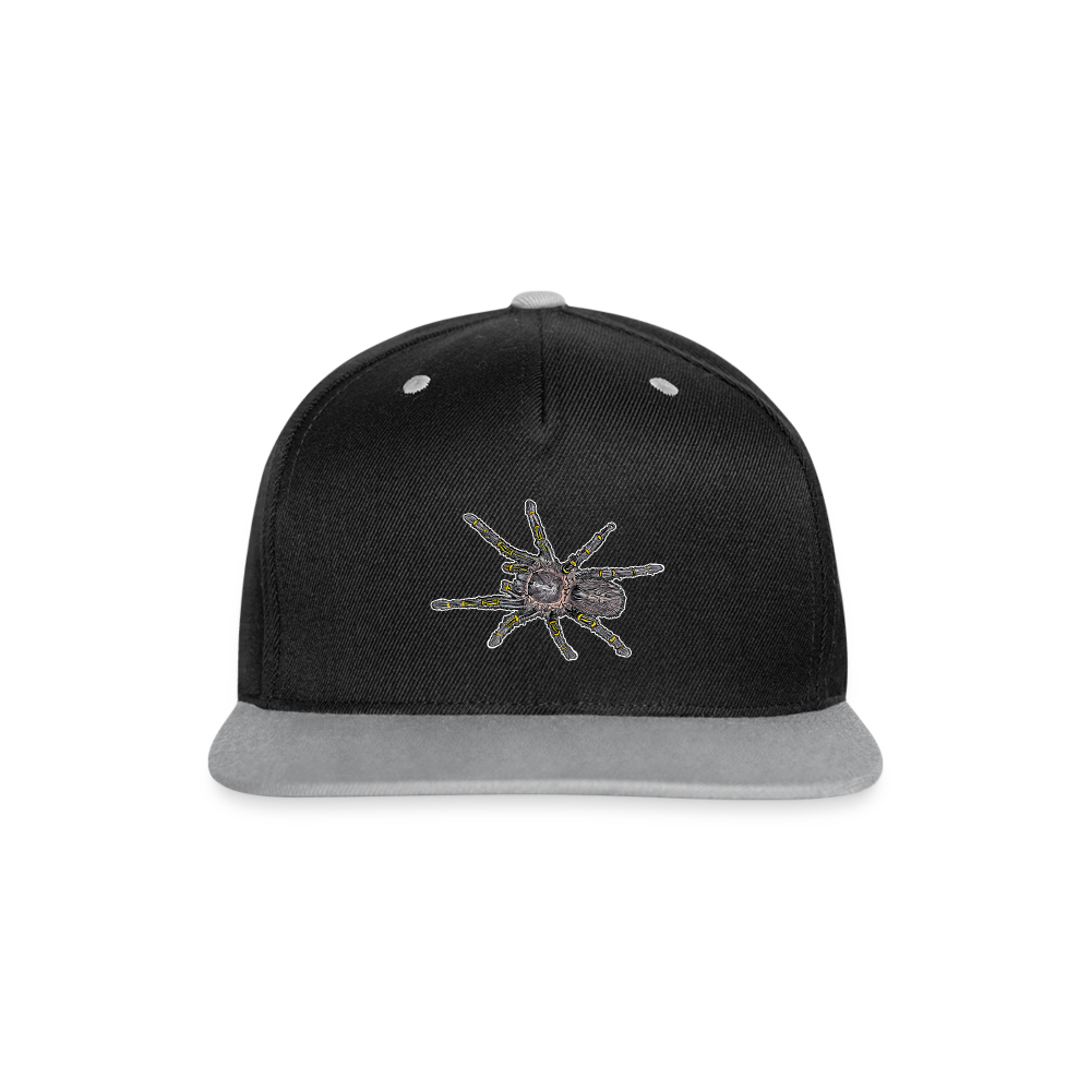 Cappy Kontrast Snapback Grammostola pulchripes - Schwarz/Grau