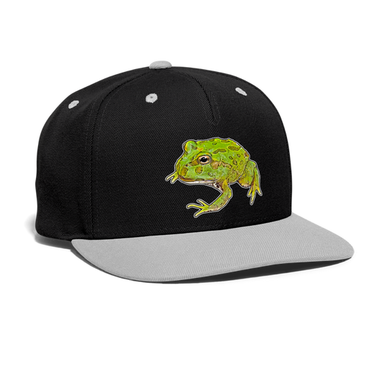 Cappy Kontrast Snapback Ceratophrys cranwelli Peppermint Blue - Schwarz/Grau