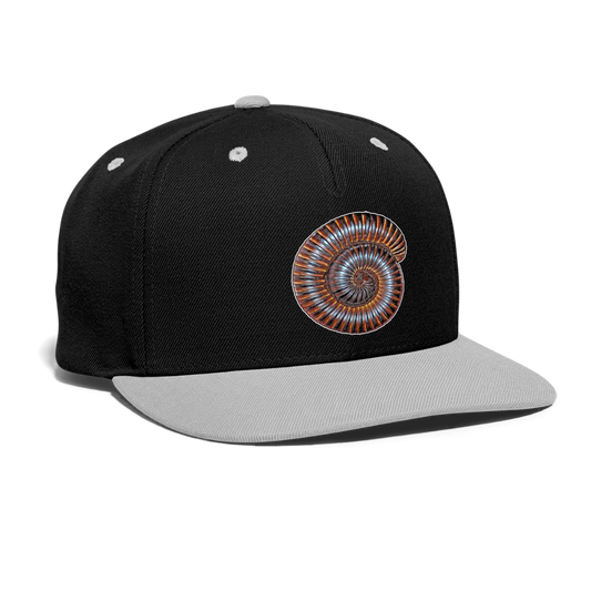 Cappy Kontrast Snapback Archispirostreptus gigas - Schwarz/Grau