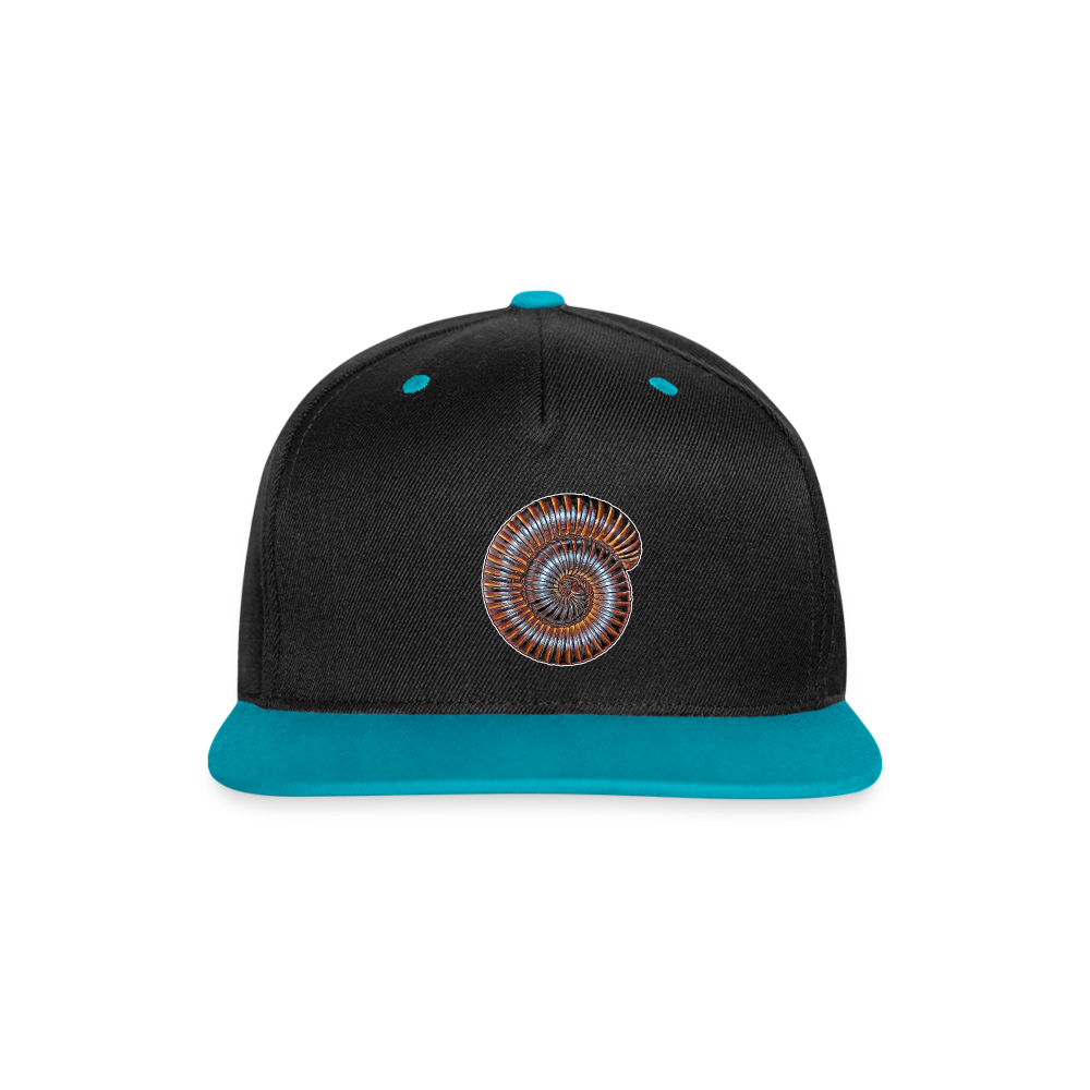 Cappy Kontrast Snapback Archispirostreptus gigas - Schwarz/Türkis