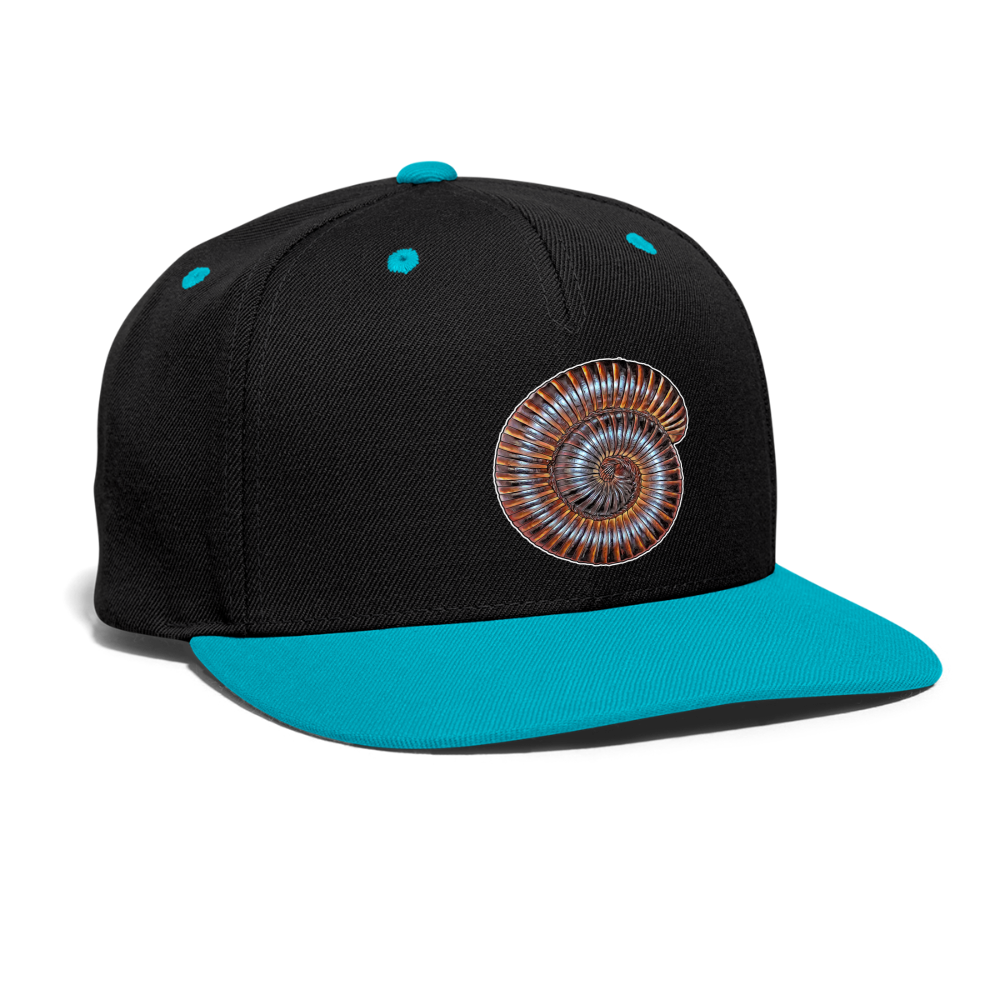 Cappy Kontrast Snapback Archispirostreptus gigas - Schwarz/Türkis