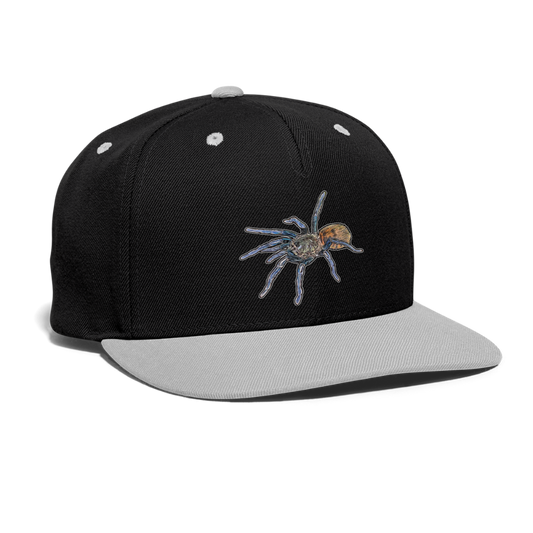 Cappy Kontrast Snapback Chromatopelma cyaneopubescens - Schwarz/Grau
