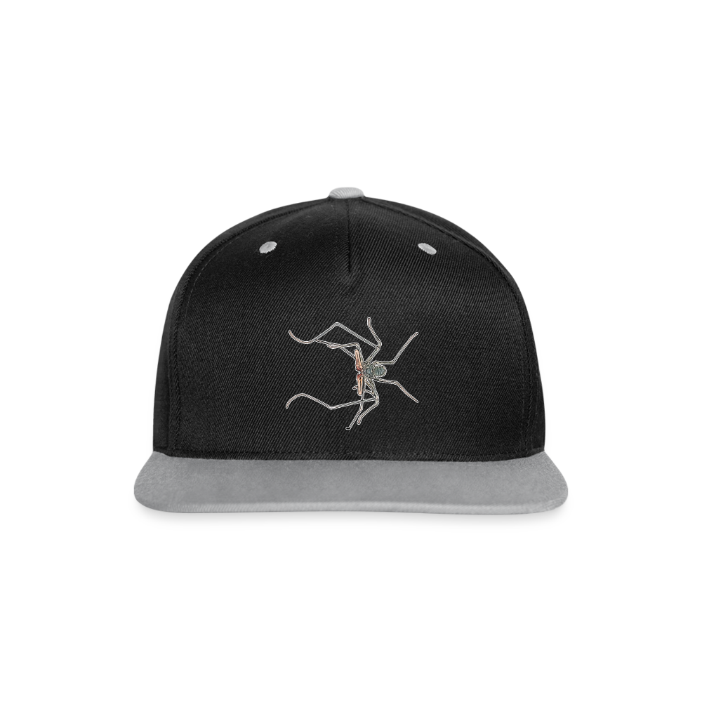 Cappy Kontrast Snapback Euphrynichus bacillifer - Schwarz/Grau