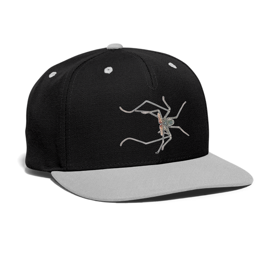 Cappy Kontrast Snapback Euphrynichus bacillifer - Schwarz/Grau